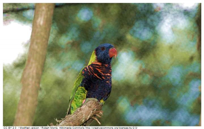    ** Lori - Massena **